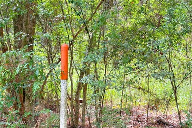 8405 Wire Rd, Ocean Springs, MS 39565 - photo 7