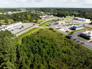 00000 Golden Isle W, Baxley, GA 31513 - photo 5