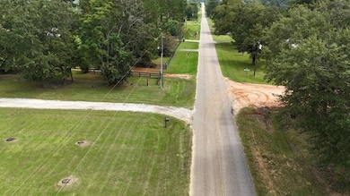 0 Ed Tolar Rd, Pansey, AL 36370 - photo 7