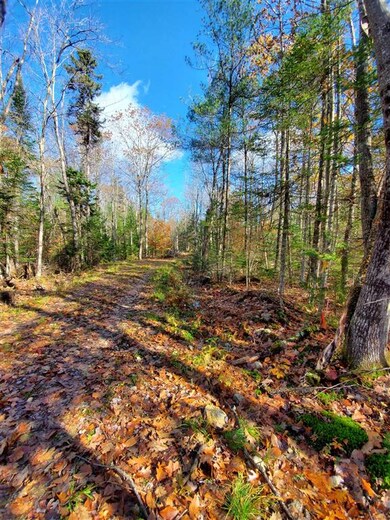 00 Phelps Rd, Springfield, NH 03284 - photo 3