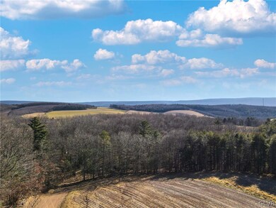 0 Eagles View Dr unit 696773, West Penn Township, PA 17960 - photo 7