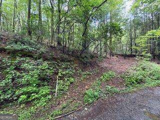 0 Ts Jarrard Rd Unit Tract 3 #192 unit 10655414, Dahlonega, GA 30533 - photo 5