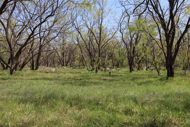 Natural Texas Landscape