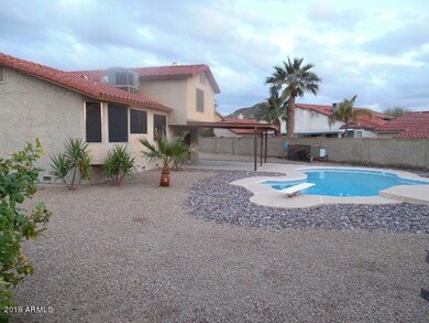 yard and pool area