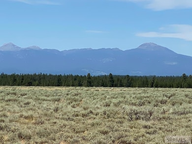 4335 Pine Grouse Rd, Island Park, ID 83429 - photo 5