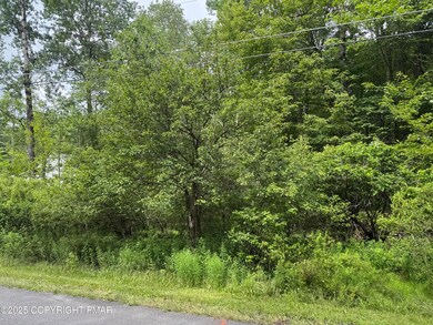 0 Redwood Rd 14 unit PM-134062, Blakeslee, PA 18610 - photo 5