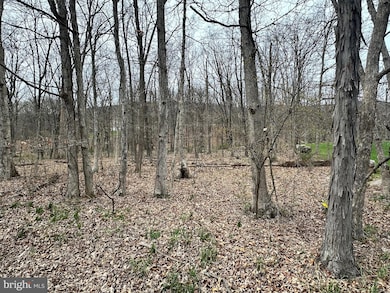 0 Timberlake Estates - Lot 27 unit WVMI2003330, New Creek, WV 26743 - photo 4