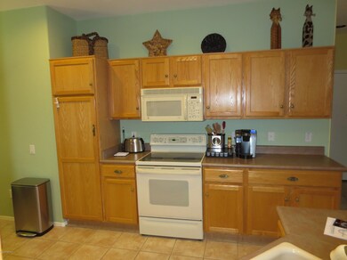 Electric smooth top and microwave