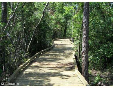 12453 Preservation Nature Boardwalks