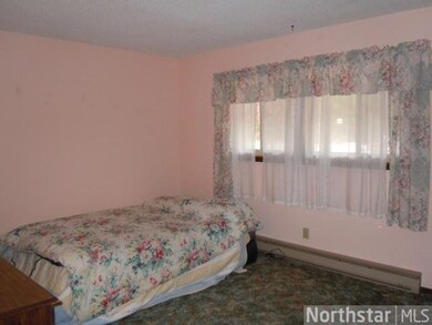 7788 County Road U, Danbury, WI 54830 - photo 6