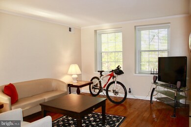 2938 S Columbus St unit B2, Arlington, VA 22206 - photo 5