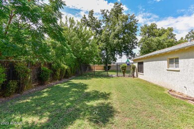 Side Yard