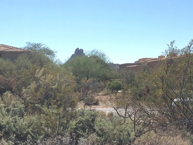 Pinnacle Peak Views