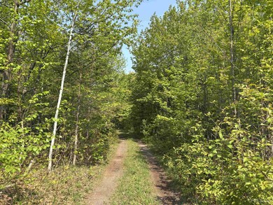 TBD B Gorton Rd, Franklin Township, MI 49930 - photo 7