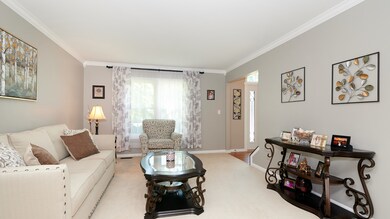 546 Arbor Ln, Oswego, IL 60543 - photo 3