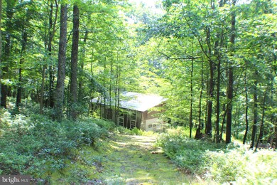 15.44 Acres High Knob Rd, Old Fields, WV 26845 - photo 3