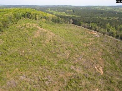 TBD/40 Cunningham Quarters Rd, Heath Springs, SC 29058 - photo 5