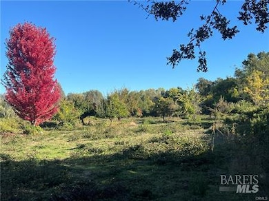 11255 Rancheria Rd, Upper Lake, CA 95485 - photo 6