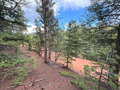 68 Horseshoe Dr, Divide, CO 80814 - photo 6