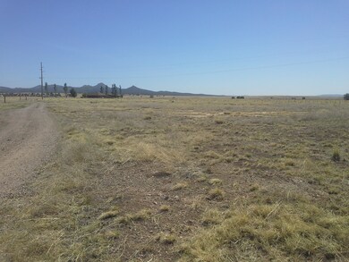 4967 W Duane Ln, Paulden, AZ 86334 - photo 5