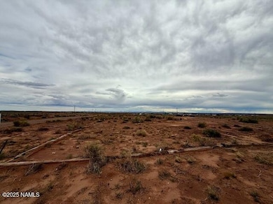 58 Well Field Rd, Winslow, AZ 86047 - photo 5