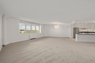 Imperial Towers unit 905, Chestnut Hill, MA 02467 - photo 4