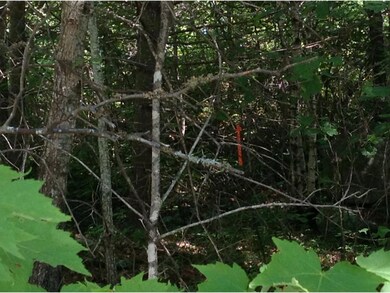 525 Route 25 Hwy, Ossipee, NH 03814 - photo 6