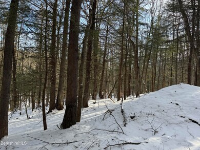 0 Tunnel Rd, Rowe, MA 01367 - photo 7