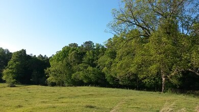 315 Folendore Rd, Haddock, GA 31033 - photo 2