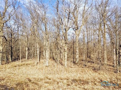 14541 S State Route 15 Us Hwy, Defiance, OH 43512 - photo 7