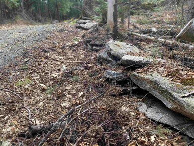 0 Cold River Rd unit M248 L 13-1, Acworth, NH 03601 - photo 2