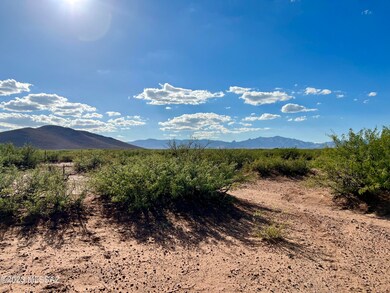 Natural Desert!