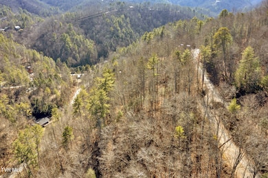 5-web-or-mls-DJI_0129