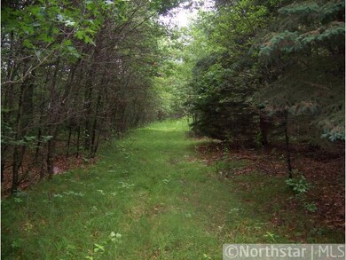 Walking trail through property