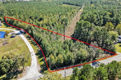 View of property location featuring a forest and property boundaries highlighted