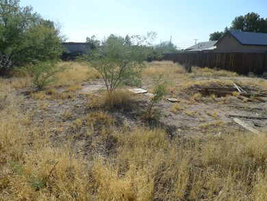 Large Lot