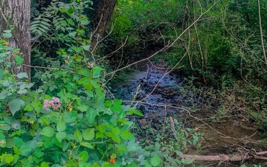 857 Mount Zion Rd, Ellijay, GA 30536 - photo 3