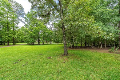 26210 Rimwick Forest Dr, Magnolia, TX 77354 - photo 5
