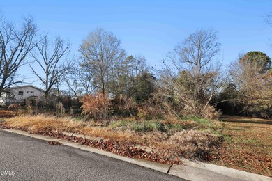 00 N Johnson St, Benson, NC 27504 - photo 4