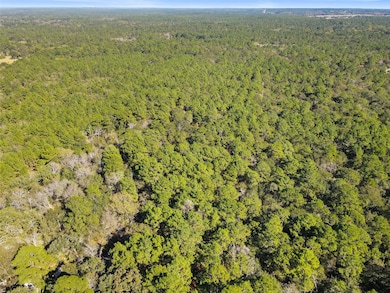 TBD Chandler Ln, Huntsville, TX 77320 - photo 3