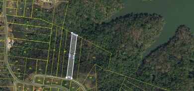 20C N Rockfish Rd, Hilham, TN 38551 - photo 3