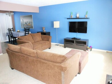 1098 Karen Dr, Akron, OH 44313 - photo 2