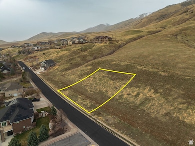 Bird's eye view featuring a mountain view