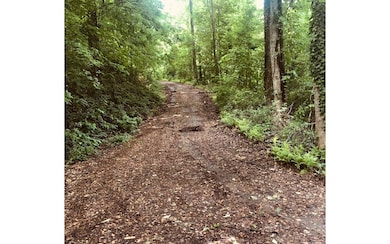 LT 16 Omega Way, Hiawassee, GA 30546 - photo 2