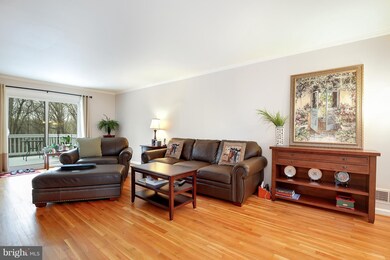 4601 Lawn Ct, Fairfax, VA 22032 - photo 7