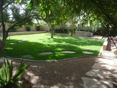 Hobson east back yard