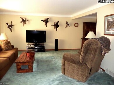 Spacious Living Room