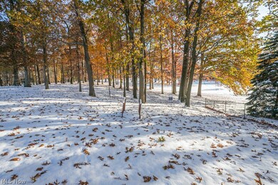Backyard view into golf course