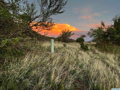 45 Rachel Rd, Silver City, NM 88061 - photo 4