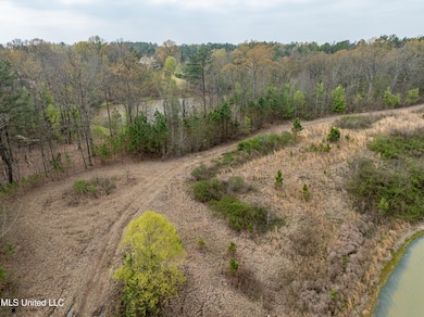 560 N Malone, Hernando, MS 38632 - photo 3